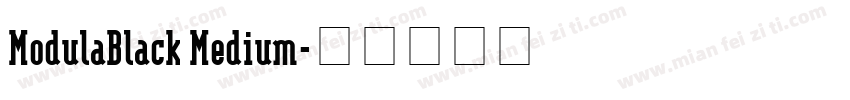 ModulaBlack Medium字体转换